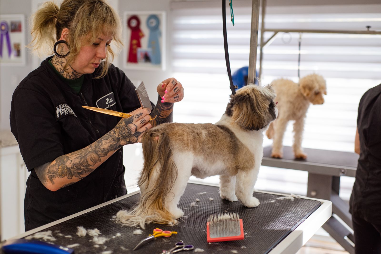 Groomer recortando el pelaje de una mascota