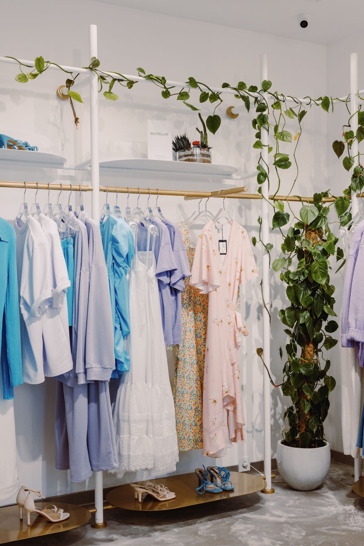 Interior de la boutique con vestidos y plantas